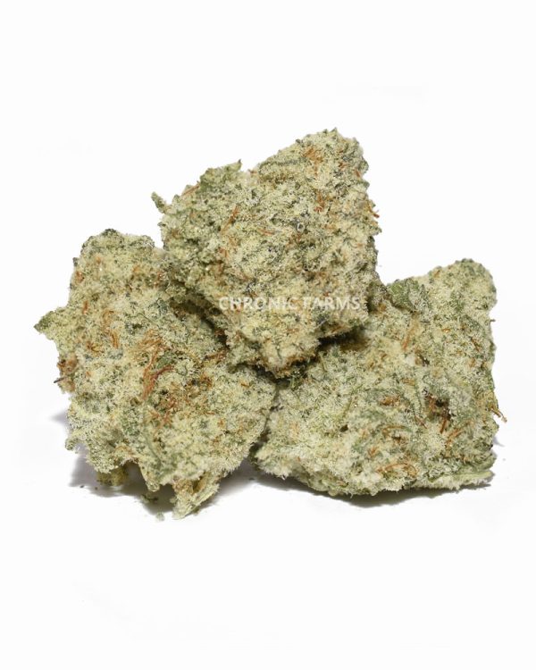 BUY-JUNGLEMAC-POPCORN-AAA-ONLINE-WEED-CANNABIS-AT-CHRONICFARMS.CC-IN-CANADA-BC-VANCOUVER-TORONTO-QUEBEC-MANITOBA-CALGARY