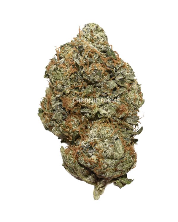 buy-pinkafgoo-aaaa-cannabis-online-at-chronicfarms.cc-weed-dispensary-in-bc