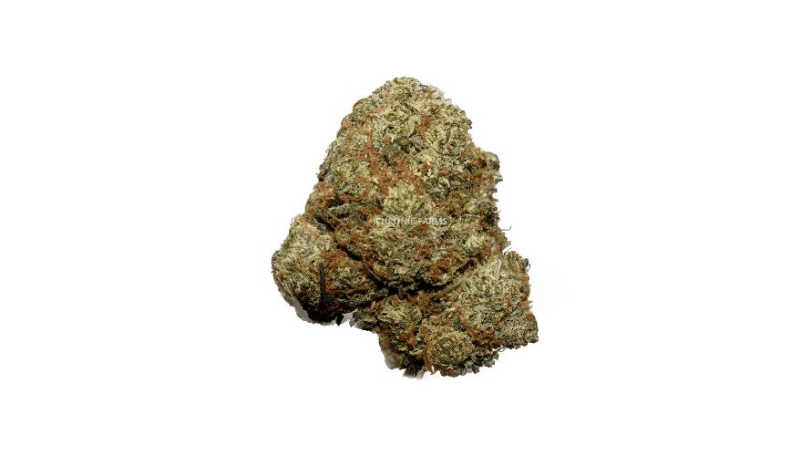 Looking to buy weed online? This AAA Blackberry bud is available at our online dispensary for as low as $8.99 a gram.