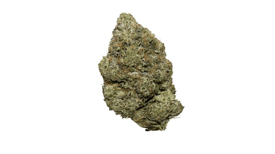 Order this AAAA+ Couch Lock at our online dispensary and enjoy the highest quality weed at the lowest prices, guaranteed.
