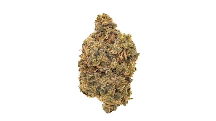 Well, fear not, fellow adventurer, because in Canada, Acapulco Gold can be yours in minutes. In the age of the internet, you can buy weed online in Canada with ease, thanks to online dispensaries.