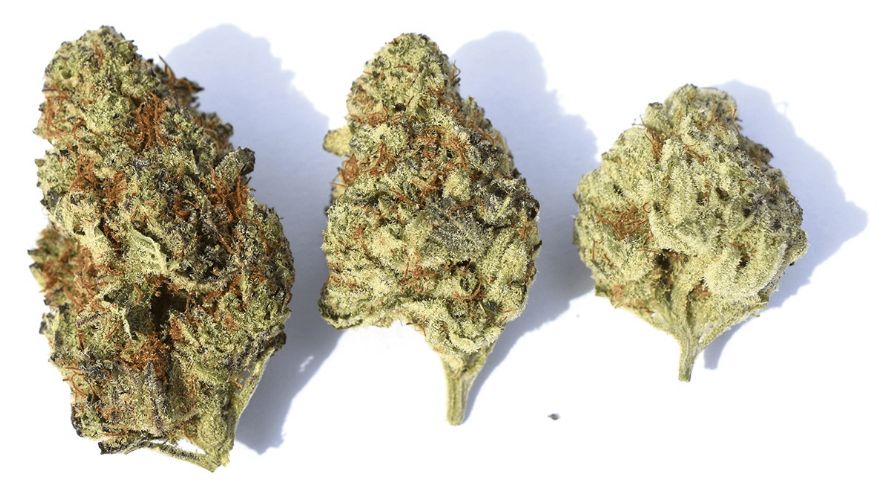 Larry Bird or the Gelato 33 strain is sweet, and many connoisseurs compare it to a berry dessert.