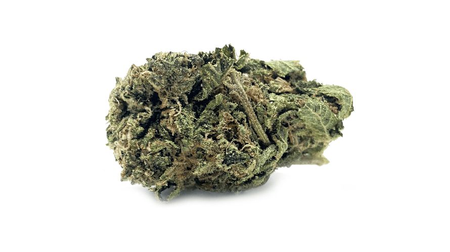 This guide teaches you how to buy cheap buds online for a reason. While it's possible to buy cannabis from a physical store near you, you are likely to get the best deals at an online dispensary.