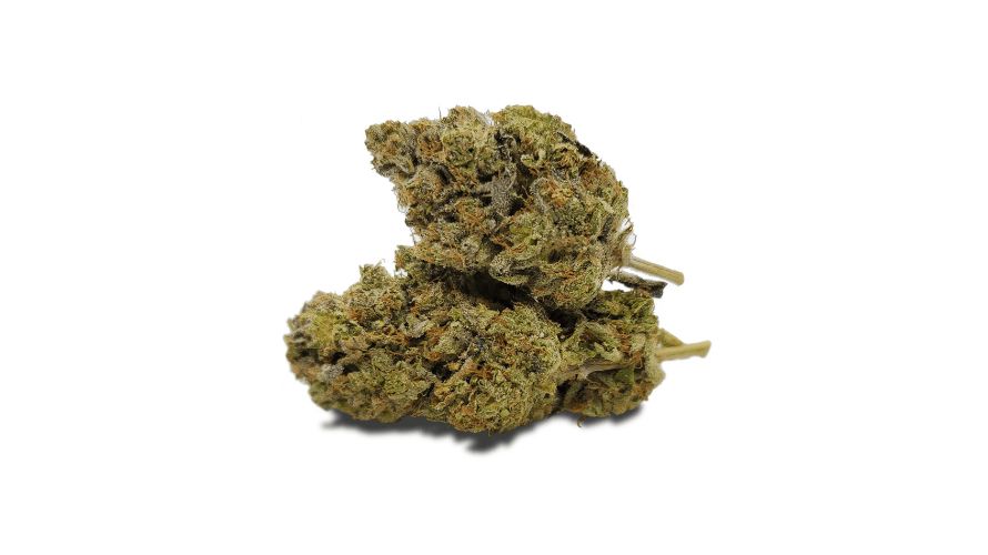 OG Shark strain is a happy cannabis bud that is consumed by many for its ability to improve mood and promote positive thoughts even on slow days. But where can you order OG Shark weed online?
