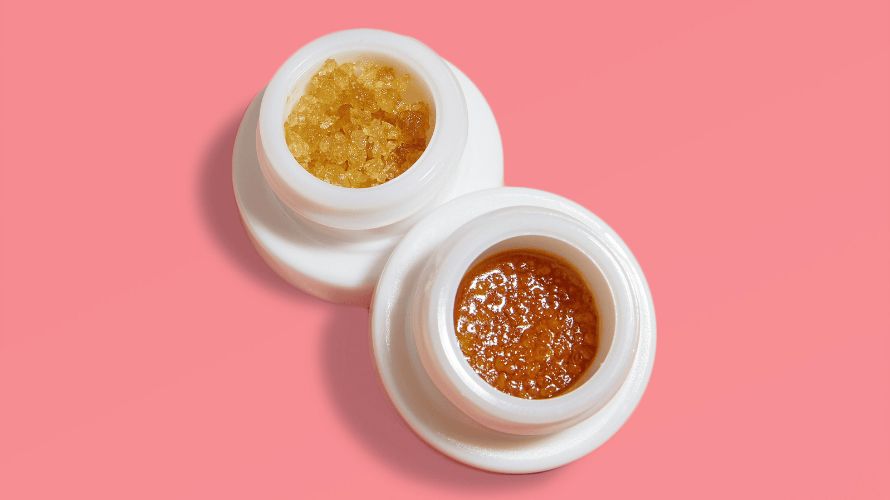 Cannabis concentrates or "weed" concentrates are highly potent forms of marijuana that you get by extracting cannabinoids like THC from the original plant. 