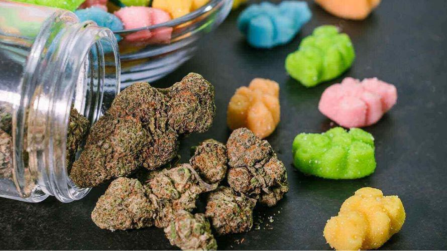 At an online weed dispensary, you'll find cannabis edibles typically offering a serving size of 5 to 10 milligrams of THC, although some contain less than this amount.