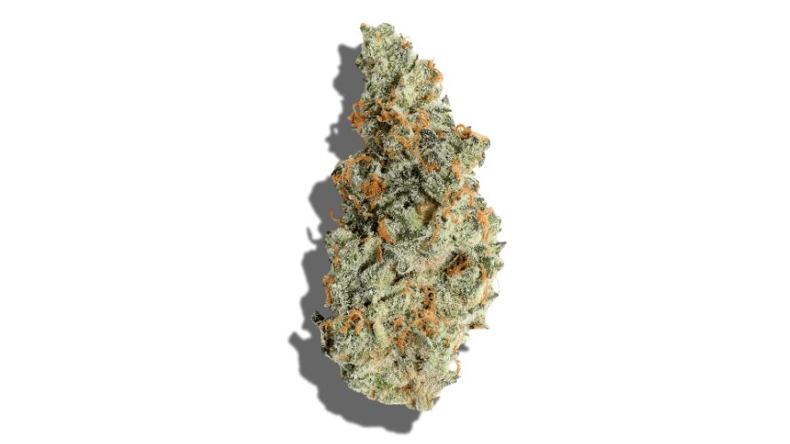 Should you buy cannabis online like Gelato to feel relaxed or is it an energizing strain? Will it help you fall asleep or will Gelato keep you up all night?
