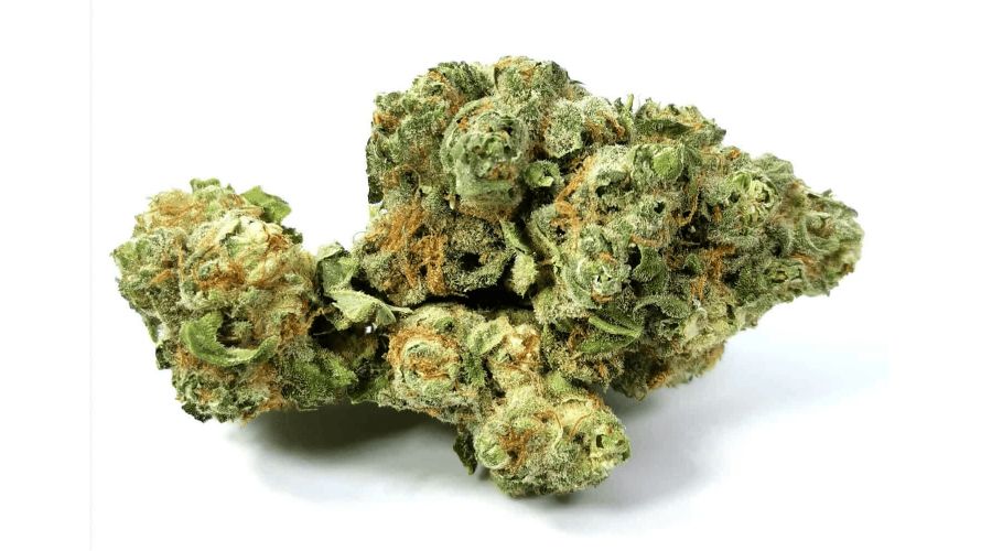 The Gorilla Glue strain stands out as a true icon in the cannabis world. 