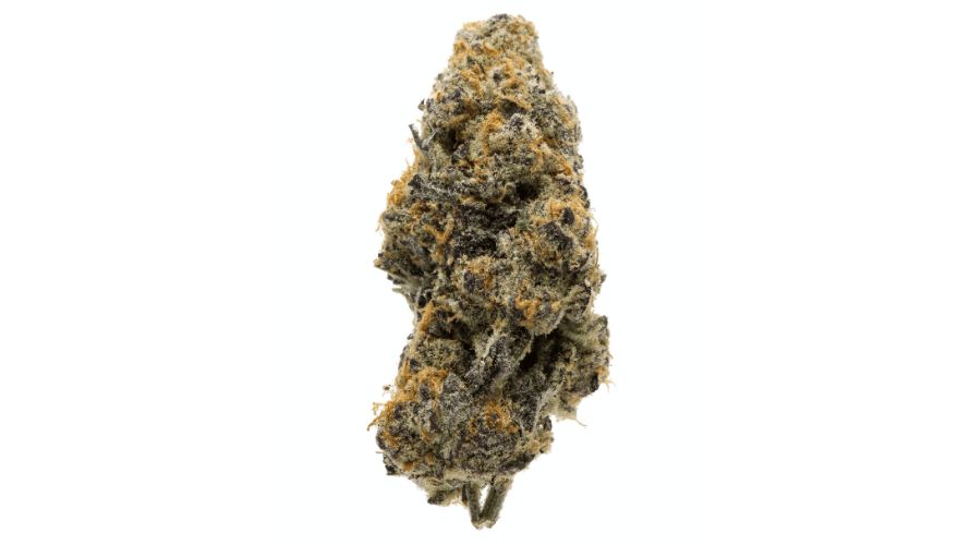 Alright, let's talk straight. Granddaddy Purple hits you with a taste like you just bit into a bunch of grapes – sweet, juicy, and downright delicious.