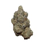 Florida Sunrise AAAA+