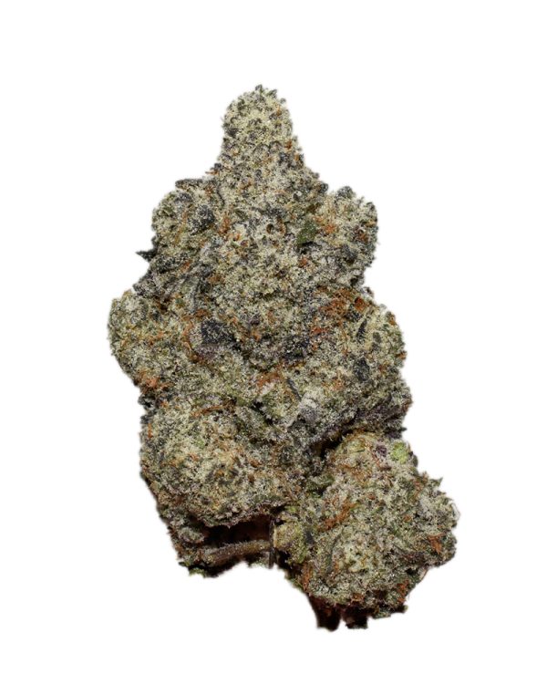 Florida Sunrise AAAA+