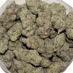 Florida Sunrise AAAA+ Bag