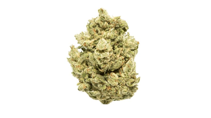 Users that buy weed online in Canada love Gorilla Glue weed for its powerful yet balanced euphoria followed by deep relaxation. 