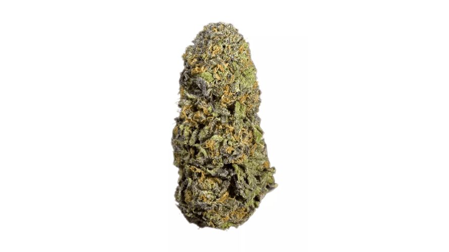 For users who order weed online, the terpene profile of strains is an important factor to take note of before making a purchase.