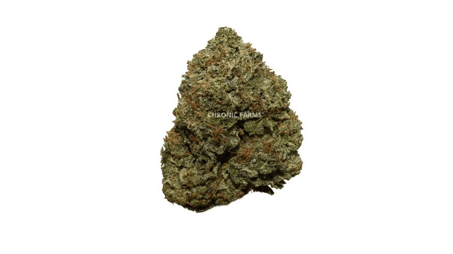 The Island Rockstar (AAA) is for pot lovers who want to tap into their inner badass. 