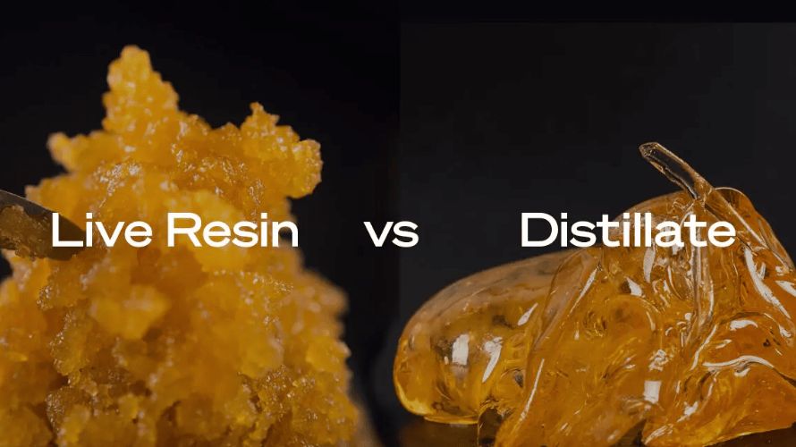 Live resin carts pack a punch. But what about cannabis distillate and its effects? Isn't it the same thing? What's the deal when it comes to live resin vs distillate?