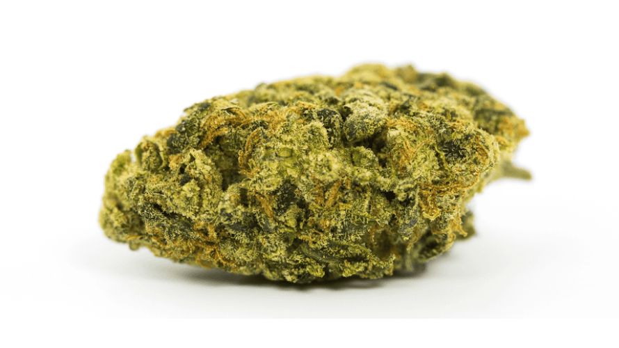 Super Lemon Haze isn't only about having a good time; it's a natural ally for your health, and it brings some fantastic medical benefits to the table.