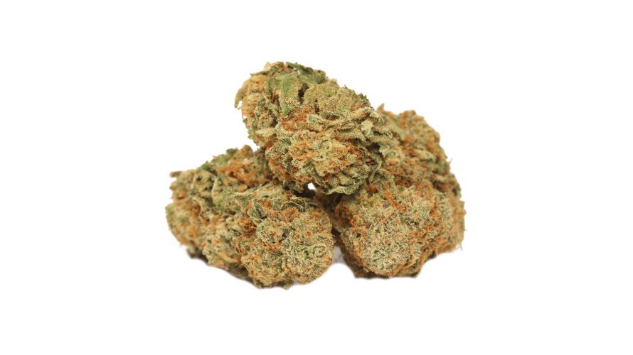 This bud has a robust terpene profile responsible for its delicious flavour and fragrance. The three most dominant terpenes in this strain are linalool, myrcene and caryophyllene.
