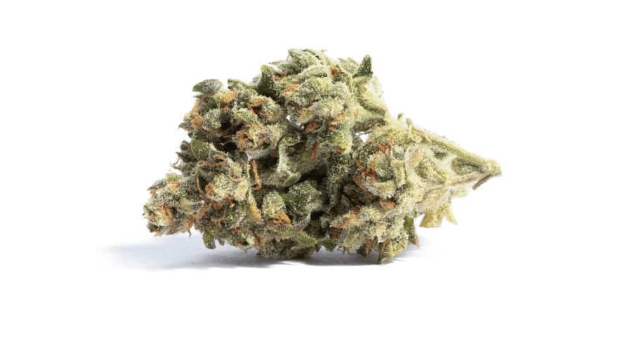 Acapulco Gold sometimes referred to as "Mexican sativa," is a strain with a rich and mysterious history. 