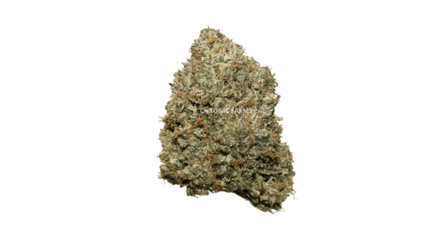Gassy and irresistible. Those two words perfectly describe Pink Kush (AAAA+), one of the best Indicas in Canada. Buy Indica online and indulge in Pink Kush, a top-shelf woody and floral strain with 20 percent THC. 