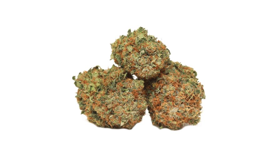 Pink Kush is an Indica to remember forever, and that's because it contains at least 20 percent of THC or more! 