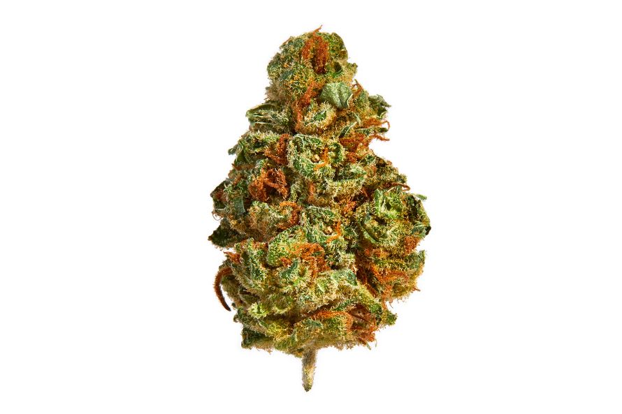When you can’t decide what to get for this weekend’s windup, pick super lemon haze to zest up your weekend. Order now on Chronic Farms for instant delivery