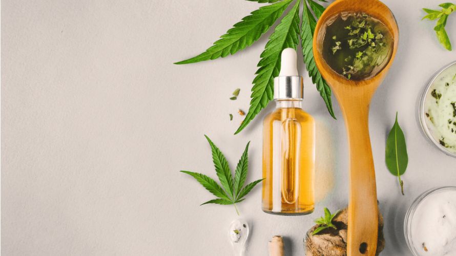 THC oil is extremely strong, usually reaching 90 percent (or more if you buy weed online from a credible source like Canada’s best dispensary).