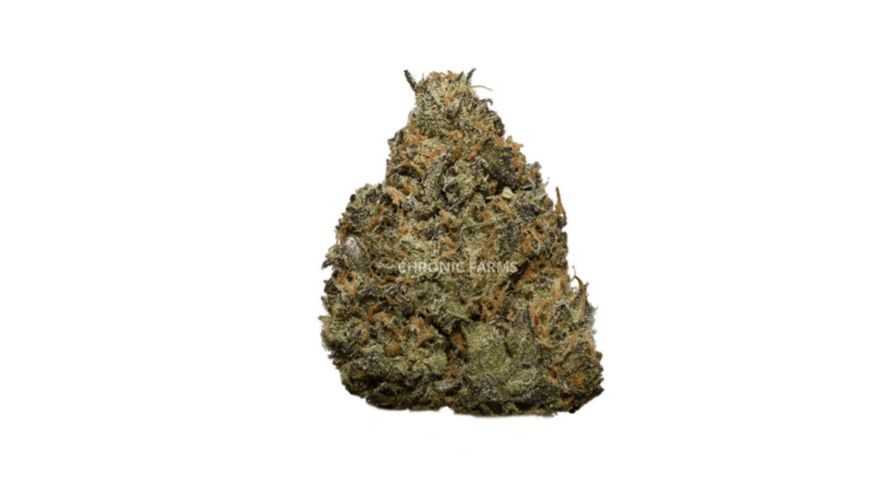 Like the Mandarin Cookies strain, Tangerine Cookies (AAA) is a rare Sativa with high THC content. 