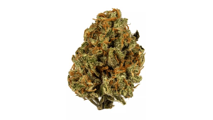Super Lemon Haze isn't your run-of-the-mill strain; it's a superstar in the world of cannabis. Its name alone is enough to pique your curiosity, right?
