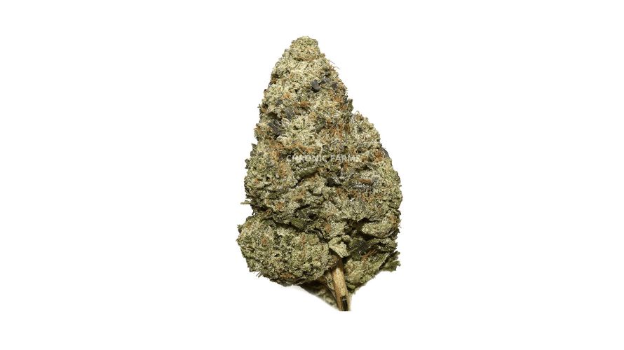 Trainwreck is one of the most popular hybrid strains known for its mind-blowing effects. This strain didn't just get its name without a reason. 