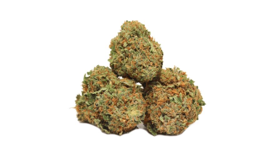 Order weed online and get Tuna Kush if you want instant effects. No waiting around for the THC to come along. This is not a crawler! 