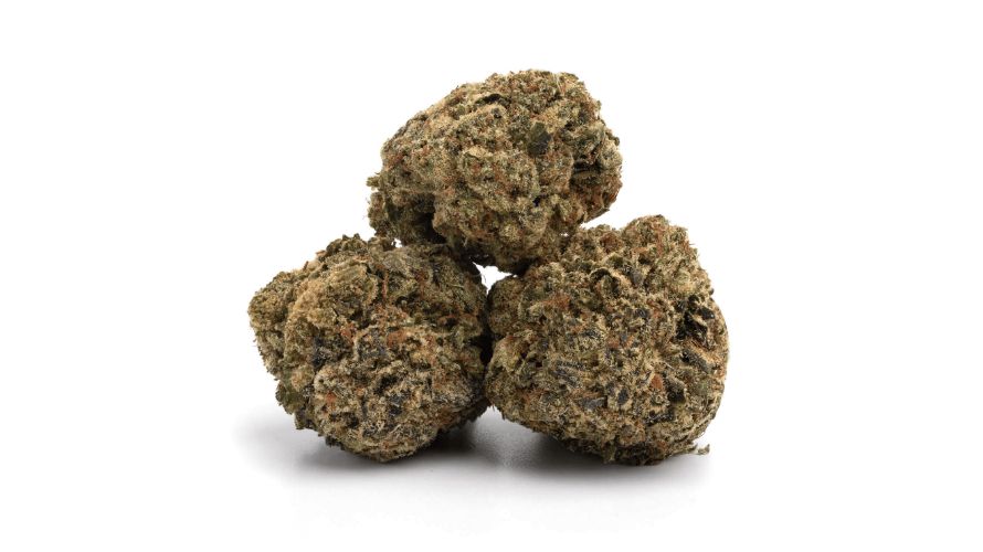 The Tuna weed strain is the best option for people easing into the world of marijuana. 