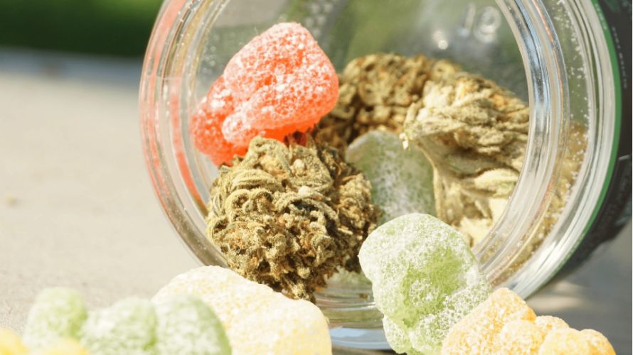 Compared to other cannabis edibles like brownies or cookies, gummies usually have a milder cannabis flavour. 