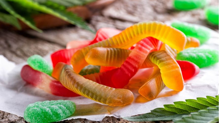 Gummies are now some of the most sought-after cannabis products in Canada because of their ease of consumption, precise dosing and discreetness. 