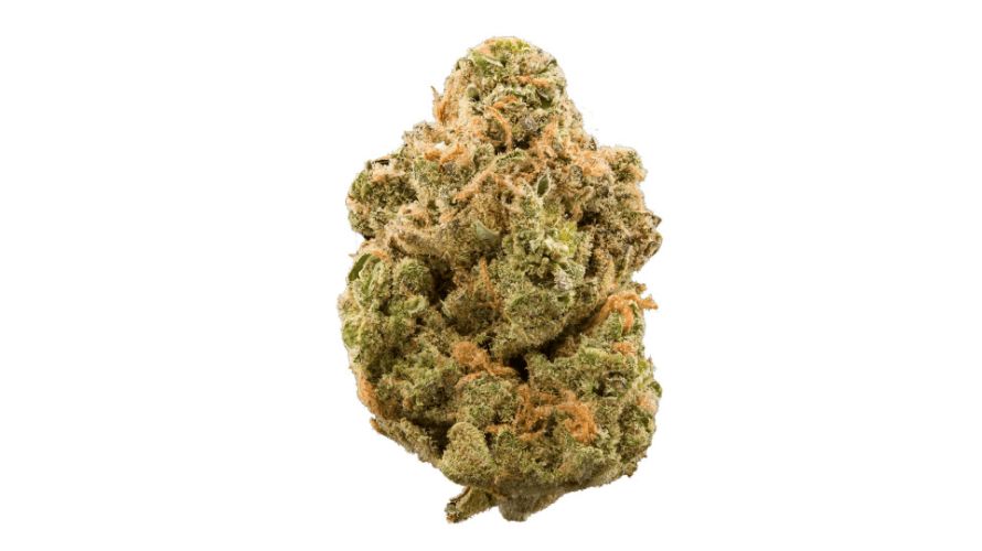 As our journey through the Super Lemon Haze review comes to an end, remember this - the citrusy delight of this strain is a click away. 