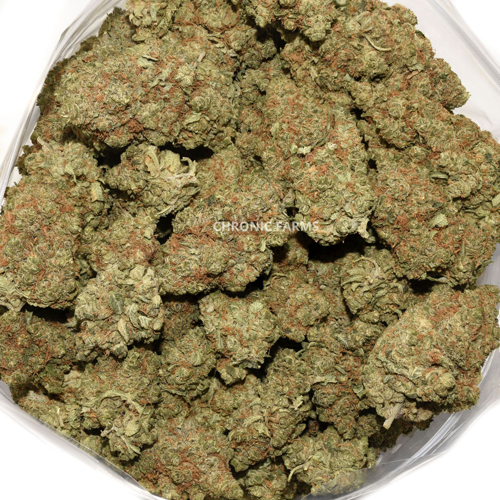 BUY-ANIMALSHERBET-AA-FLOWER-AT-CHRONICFARMS.CC-ONLINE-WEED-DISPENSARY-IN-CANADA