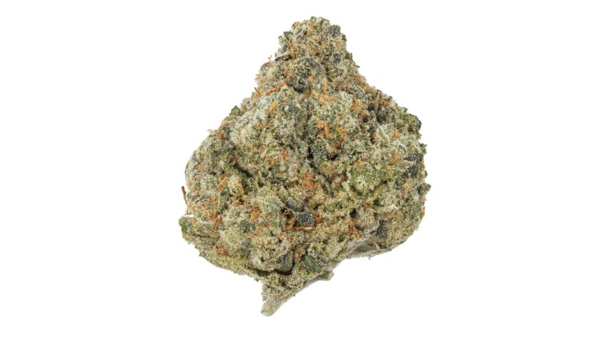 The Gelato strain is the pinnacle of pleasure, full-bodied flavour, and long-lasting effects.