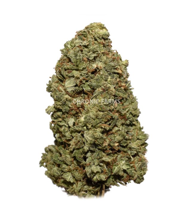 BUY-CHERRYKUSHMINTS-AA-FLOWER-AT-CHRONICFARMS.CC-ONLINE-WEED-DISPENSARY-IN-CANADA