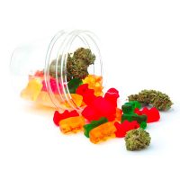 edibles icon