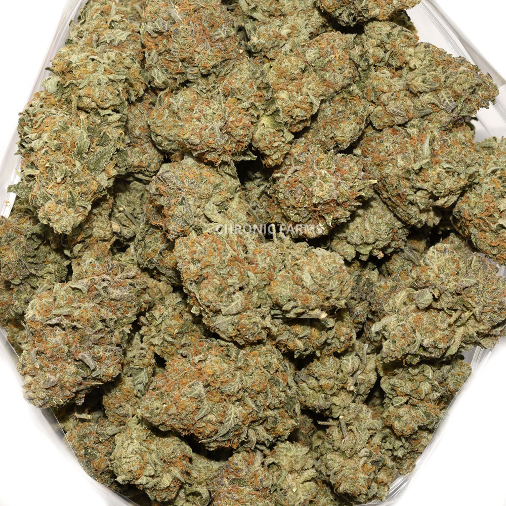 BUY-ORANGECRUSH-AA-FLOWER-AT-CHRONICFARMS.CC-ONLINE-WEED-DISPENSARY-IN-CANADA