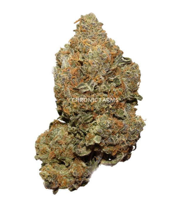 BUY-ORANGECRUSH-AA-FLOWER-AT-CHRONICFARMS.CC-ONLINE-WEED-DISPENSARY-IN-CANADA