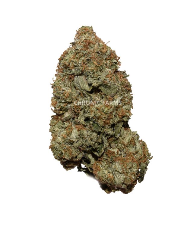 BUY-PINKOCTANE-AAA-AT-CHRONICFARMS.CC-ONLINE-WEED-DISPENSARY-IN-BC-TOPSHELF-INDICA-BUD