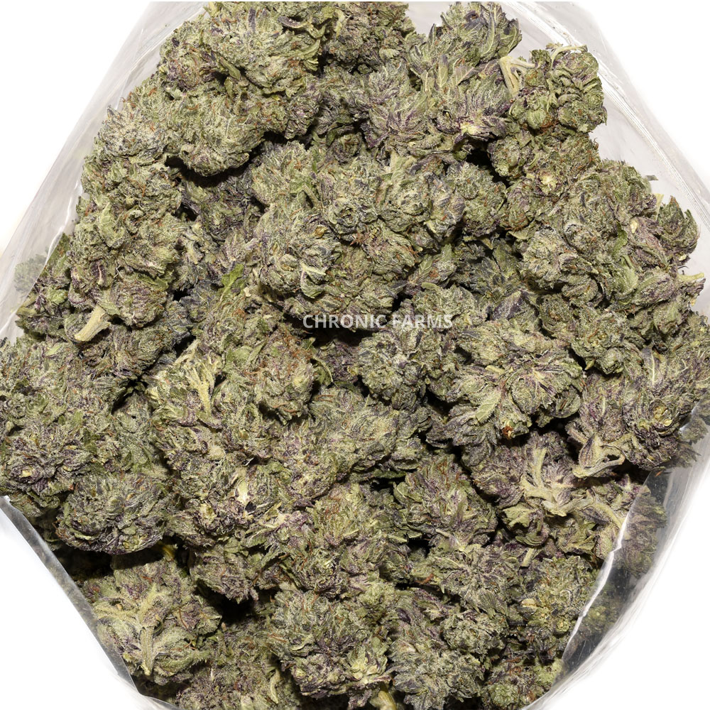BUY-PURPLEAYAHUSCA-AAA-FLOWER--AT-CHRONICFARMS.CC-ONLINE-WEED-DISPENSARY-IN-BC
