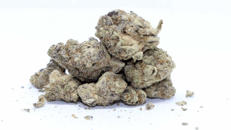 Mandarin Cookies strain is a THC giant, but the exact percentage will depend on where you buy weed online. 