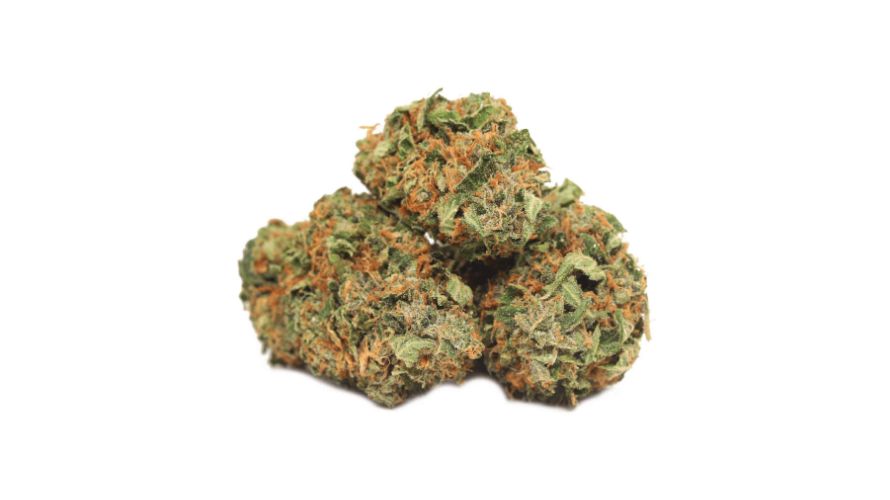 The Tuna Kush strain is an Indica hybrid, so it will sedate and relax you. While it is 30 percent Sativa, the energizing effects aren't the center of attention. 