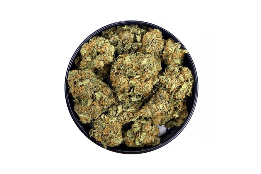 Discover the renowned Chemdawg strain and its unparalleled attributes. Learn about its origins, aroma, flavour, and potential medical benefits.