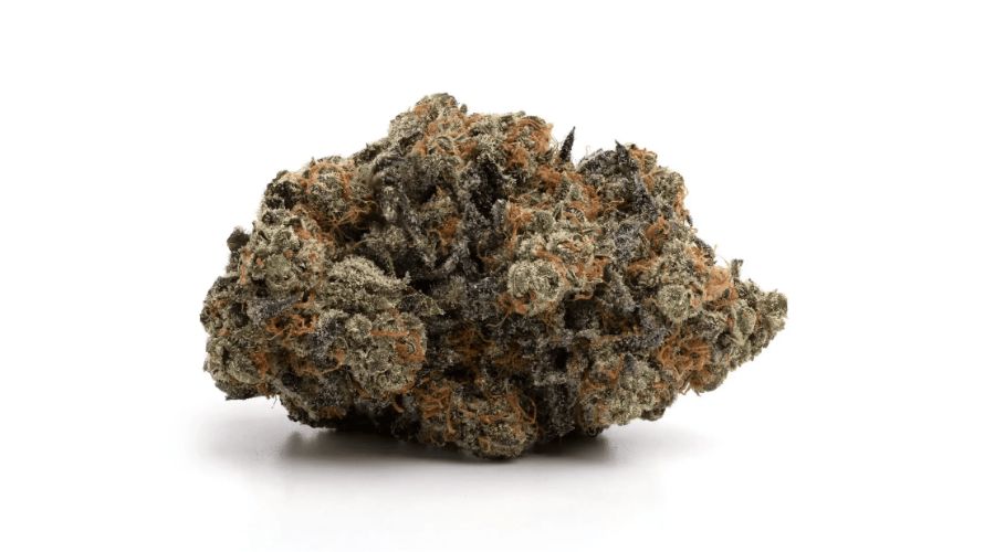 This strain has a unique terpene profile responsible for its appealing flavour and aroma. The primary terpenes in Ice Cream Cake are limonene, caryophyllene and linalool.