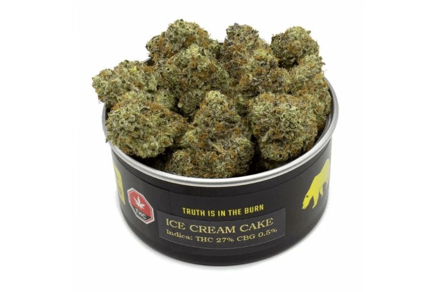 Ice Cream Cake strain is one of the most popular indica-dominant hybrids in Canada today. Here's everything you need to know about Ice Cream Cake weed strain