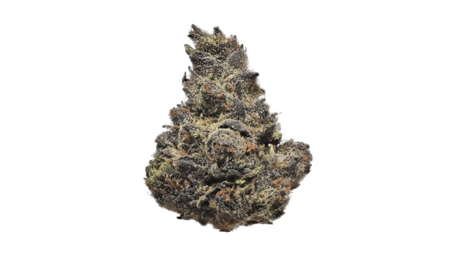 There is a theory that the best strains to order at an online weed dispensary in Canada have some mystique. This is at least true of the Ice Cream Cake strain.