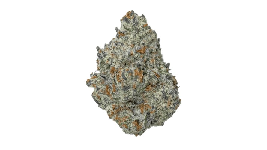 In this Ice Cream Cake strain review, we tell you all there is to know about this bud, including its genetic profile, effects, flavour and where to order weed online in Canada. Read on.